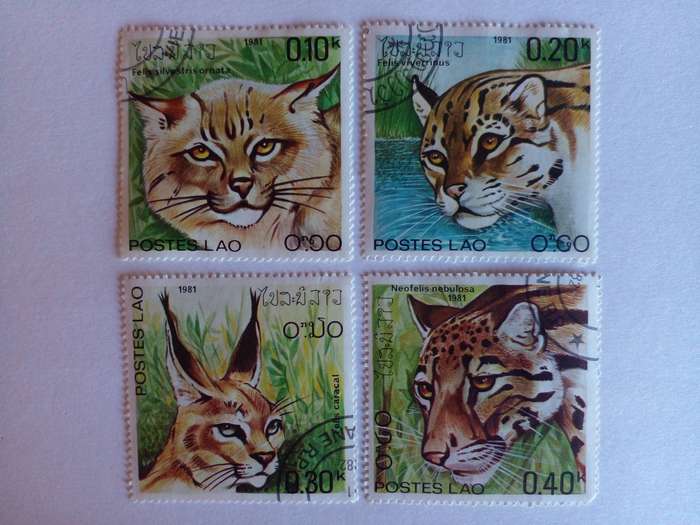 Laos 1981 Wild Cats