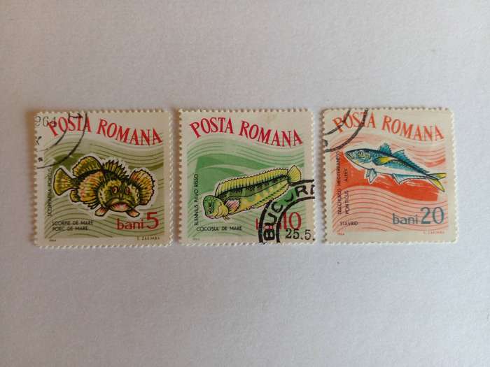 Romania 1964 Fish
