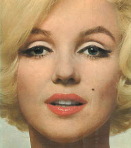 Marilyn. Photography. Norman Mailer.