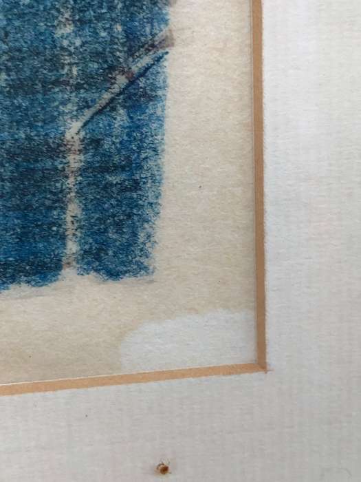 Gareth Davies (20th C) Stunning mixed media framed behind glass
