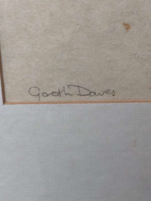 Gareth Davies (20th C) Stunning mixed media framed behind glass