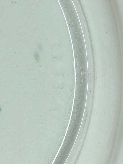 Carlton Ware - Stunning Plate , classic Australian design c1926 - 1987