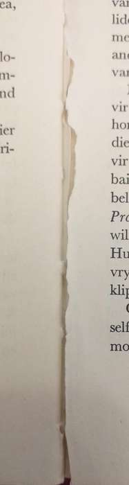 Heldin uit die vreemde - verhaal van Emily Hobhouse - Rykie van Reenen