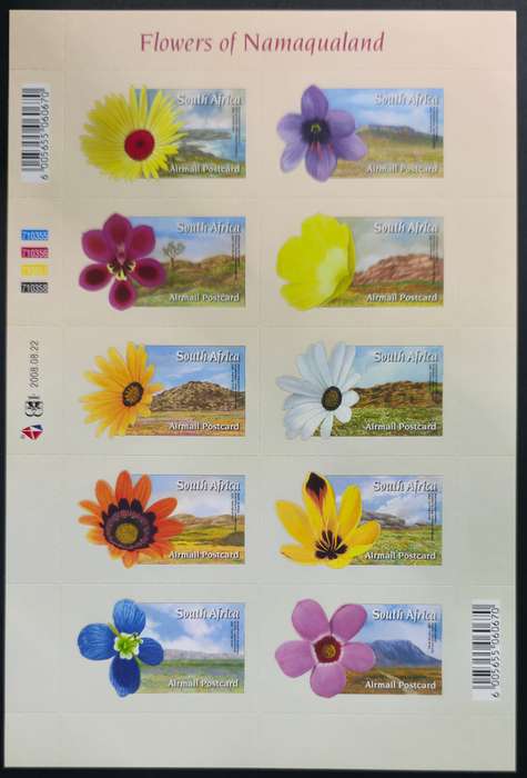 RSA 2008: Flowers of Namaqualand - UMM Self-adhesive Sheet: SACC 1896