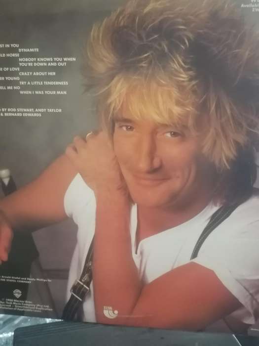 Rod Stewart, Out of Order, vinyl very good+.
