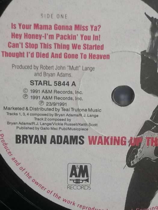 Bryan Adams, Waking up the Neighbours, double album, vinyl's very good.