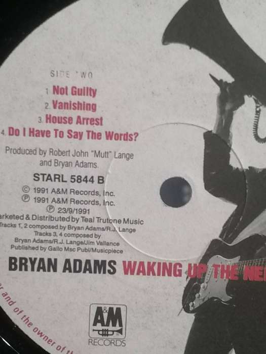 Bryan Adams, Waking up the Neighbours, double album, vinyl's very good.