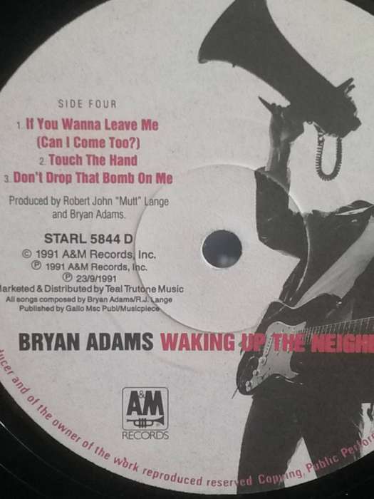 Bryan Adams, Waking up the Neighbours, double album, vinyl's very good.