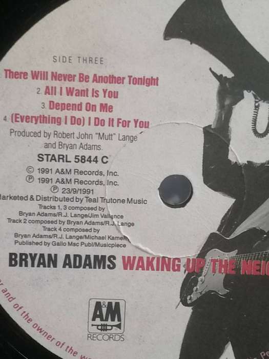 Bryan Adams, Waking up the Neighbours, double album, vinyl's very good.