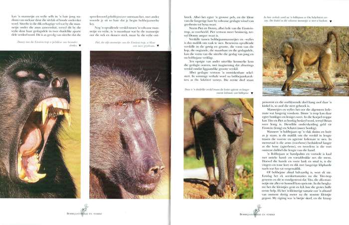 Bôgom (deur Attie Gerber) boek oor bobbejane (baboons)