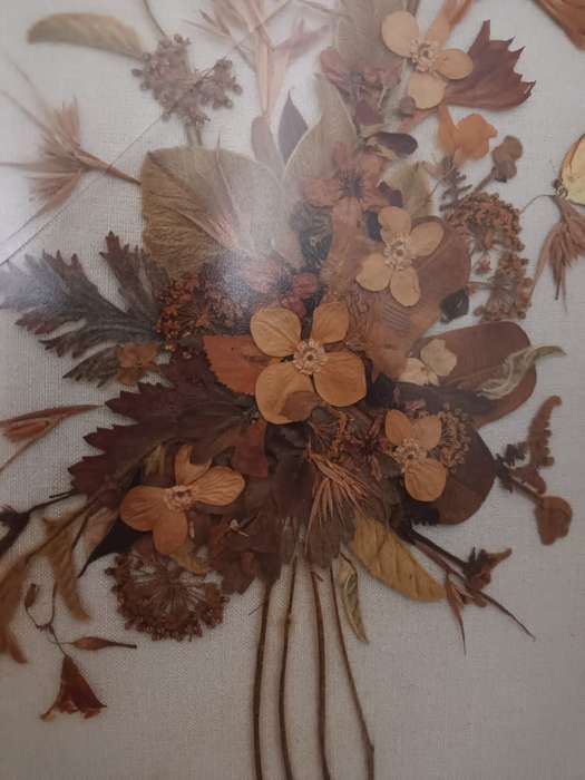 Large framed, glazed vintage dried flower arrangement fixed to linen