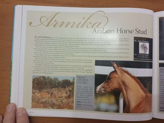 Arabians of Southern Africa 2009 (Equestrianism, horses)