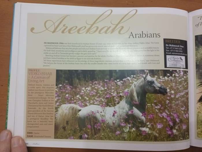 Arabians of Southern Africa 2009 (Equestrianism, horses)