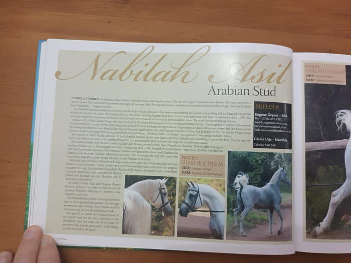 Arabians of Southern Africa 2009 (Equestrianism, horses)