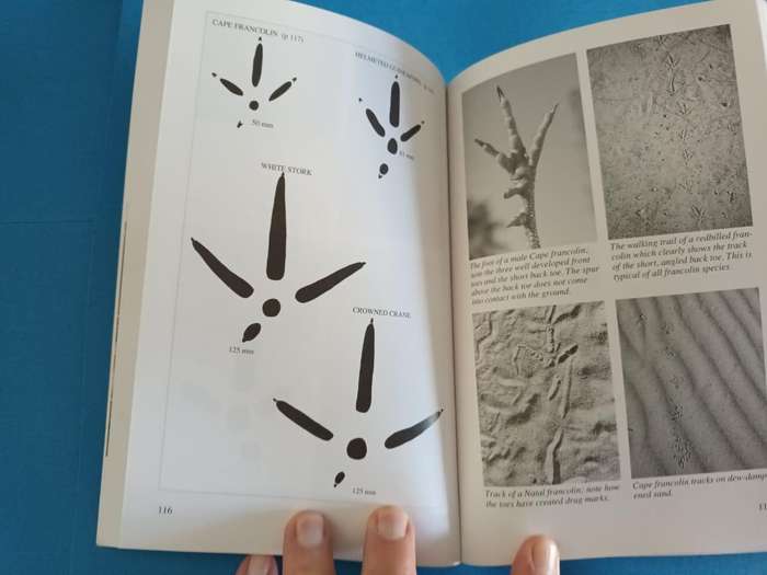 A Field Guide to the Tracks & Signs of Southern and East African Wildlife