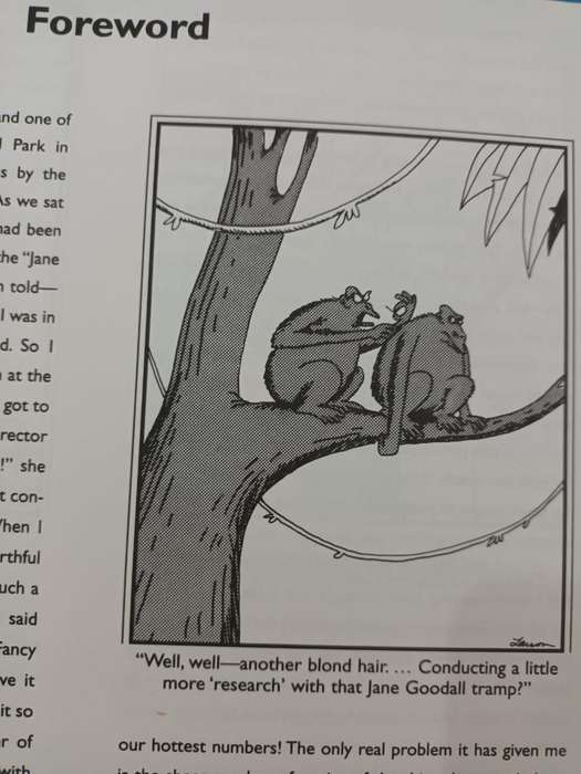 The Far Side Gallery 5 (Gary Larson)