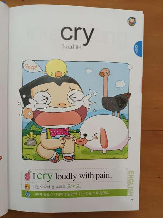 Child's First Dictionary of English Expressions (Eo-rin-i Cheot Yeong-eo Pyo-hyeon Sa-jeon)