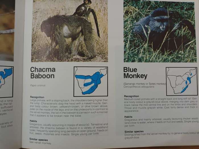 Mammals of South Africa