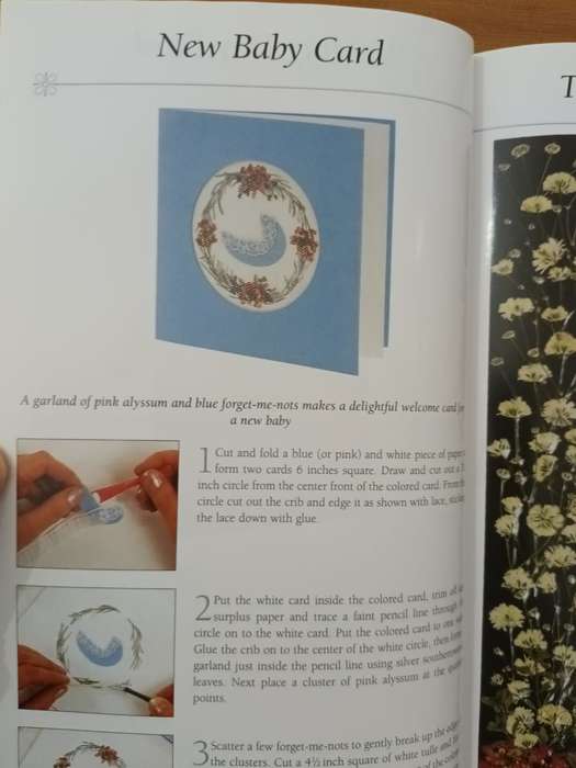 The Art of Pressed Flowers (Mary Lawrence)