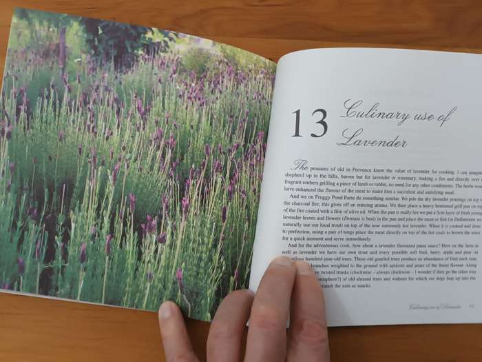 Lavender at Froggy Pond Farm (scarce)