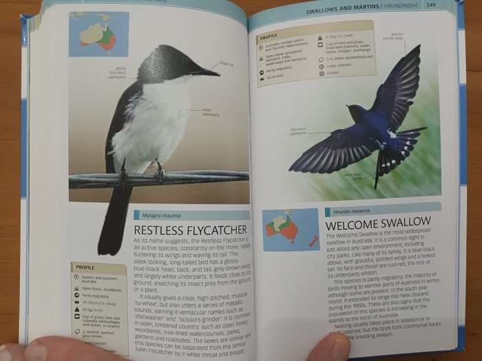 Birds of Australia (Dorling Kindersley publication)