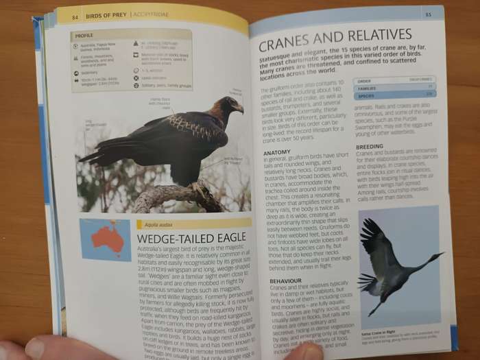 Birds of Australia (Dorling Kindersley publication)