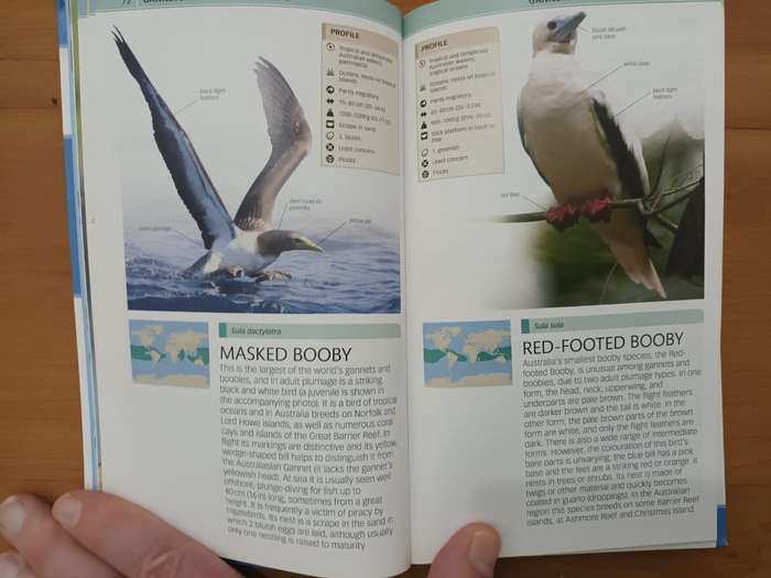 Birds of Australia (Dorling Kindersley publication)