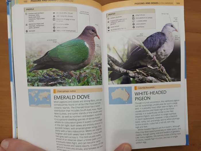 Birds of Australia (Dorling Kindersley publication)