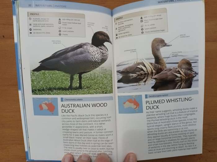 Birds of Australia (Dorling Kindersley publication)
