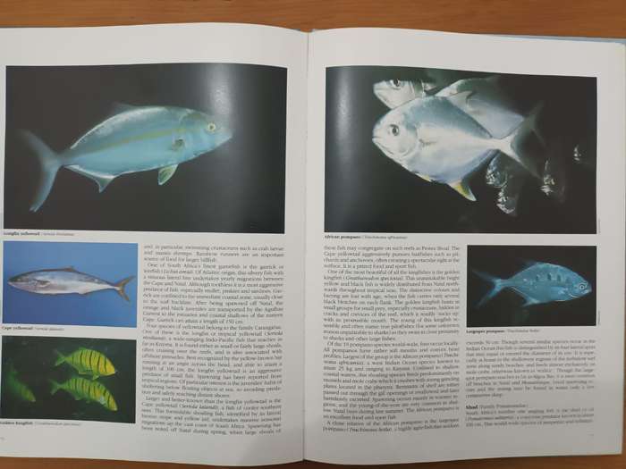 Everyone's Guide to the Sea Fishes of Southern Africa