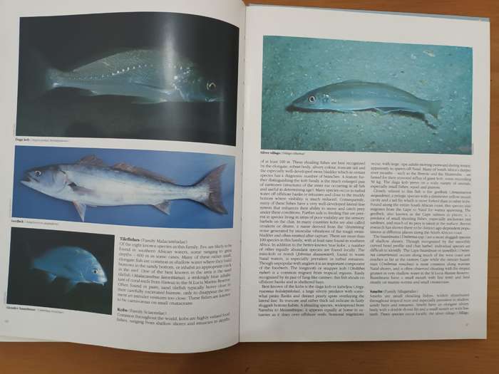 Everyone's Guide to the Sea Fishes of Southern Africa