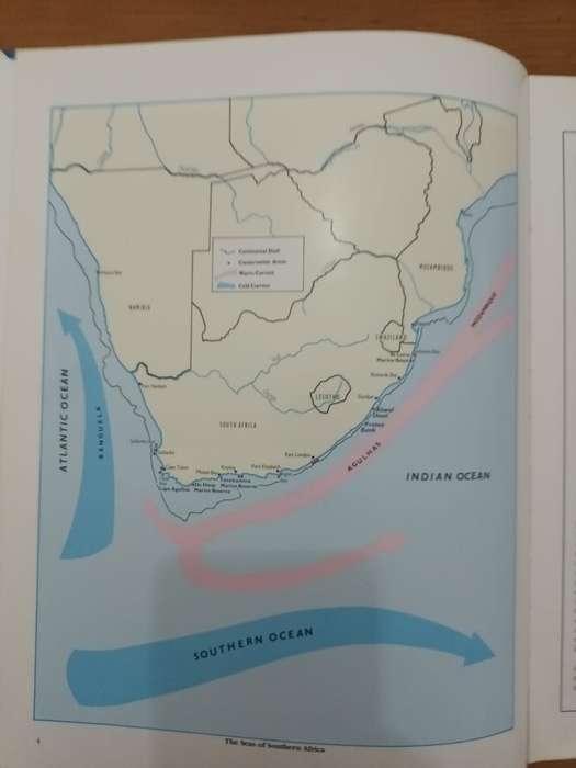 Everyone's Guide to the Sea Fishes of Southern Africa