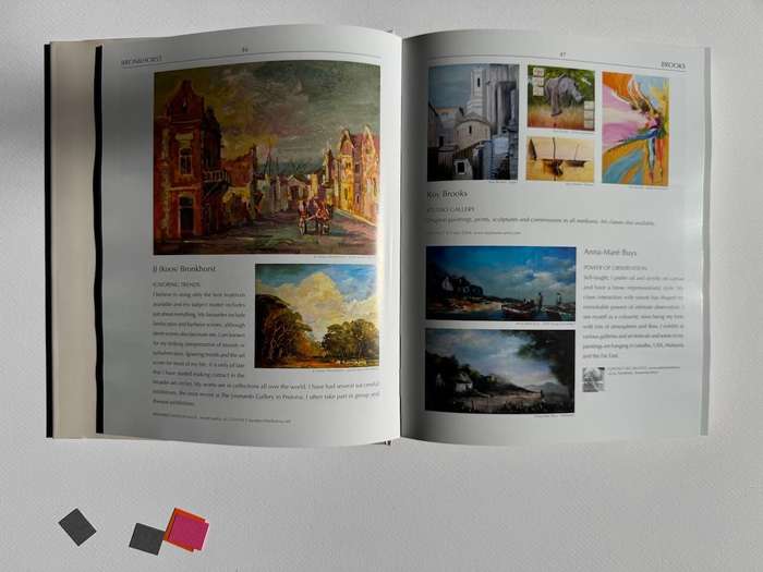 The Collector's Guide to Art and Artists in South Africa