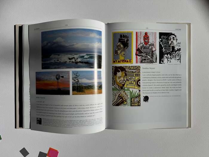 The Collector's Guide to Art and Artists in South Africa