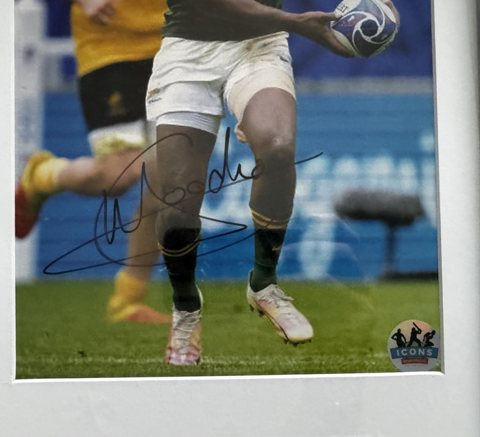 Springbok Rugby Frame Signed Canan Moodie