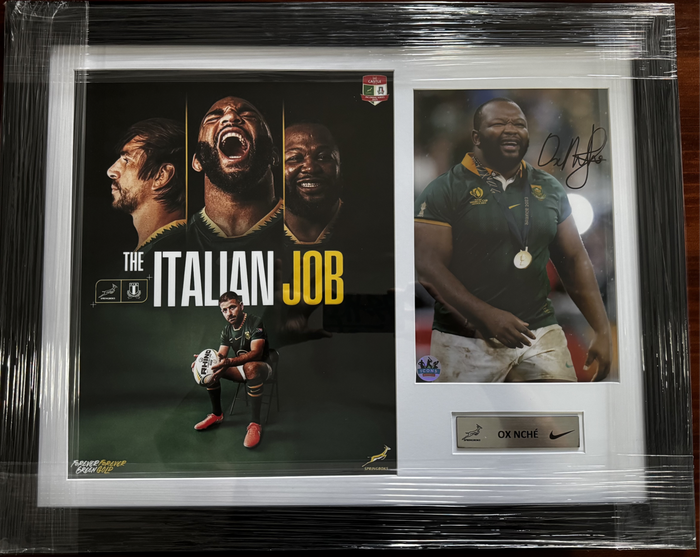 Springbok Rugby Frame Signed Ox Nche