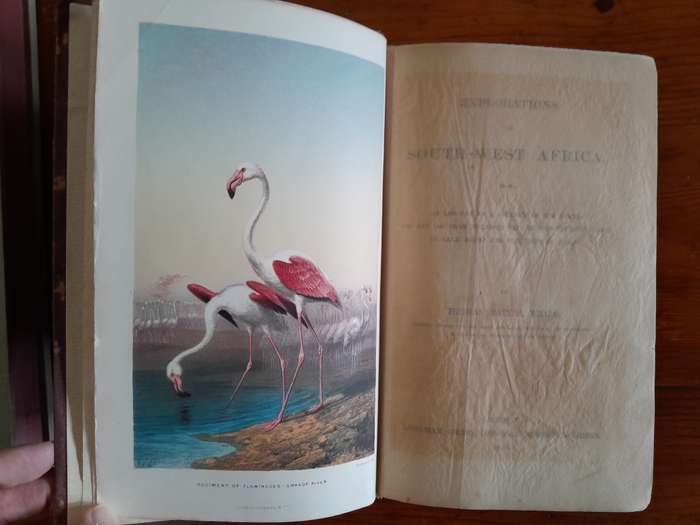 Explorations in South-West Africa - By Thomas Baines, F.R.G.S.