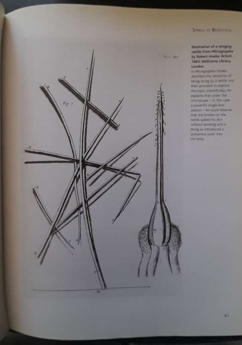 The art of small things, John Mack, Published by BRITISH MUSEUM, 2007