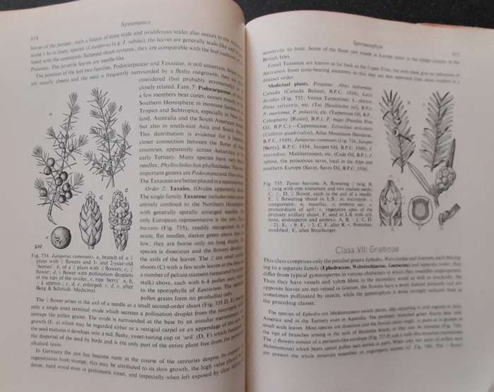 Strasburger's Textbook of Botany 1967