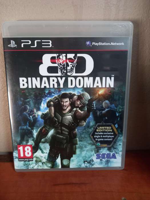Binary Domain