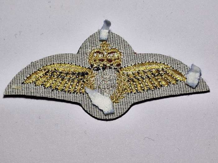 Fleet Air Arm Pilot Wing