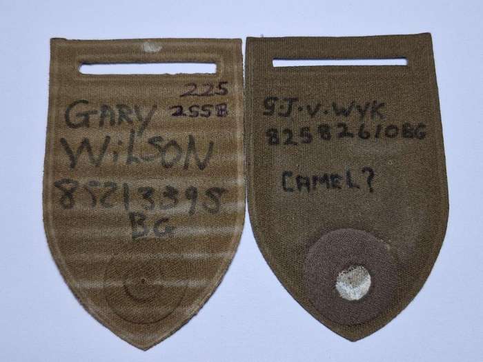 SADF 2 SSB tupperware shoulder flash pair. No Pins