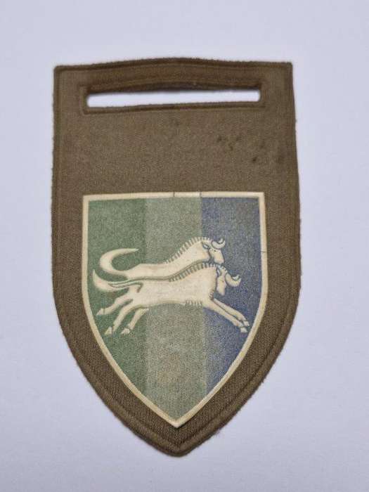 SADF Natal Command Signal Unit tupperware shoulder flash. Pin intact