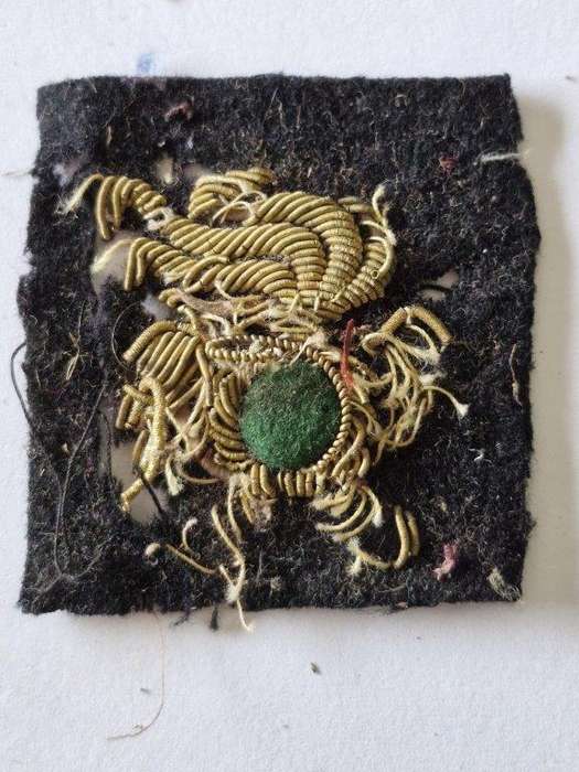Unknown Italian WWII badge. Damaged and brittle 4