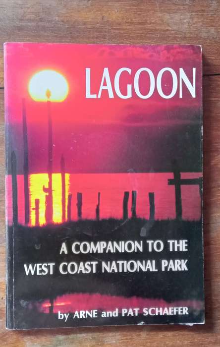 Lagoon - Arne Schaefer