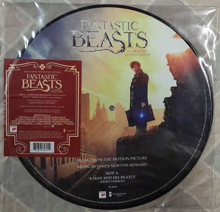 Fantastic Beasts And Where To Find Them - 12" Picture Disc ( James Newton Howard / Harry Potter)