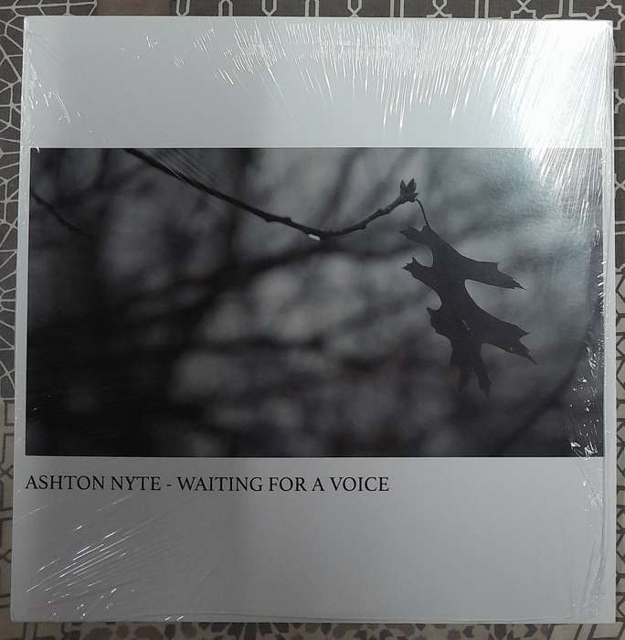 Ashton Nyte - Waiting For A Voice LP (translucent 180g vinyl)