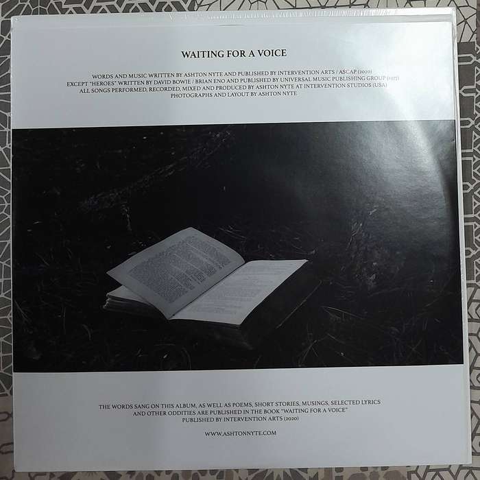 Ashton Nyte - Waiting For A Voice LP (translucent 180g vinyl)