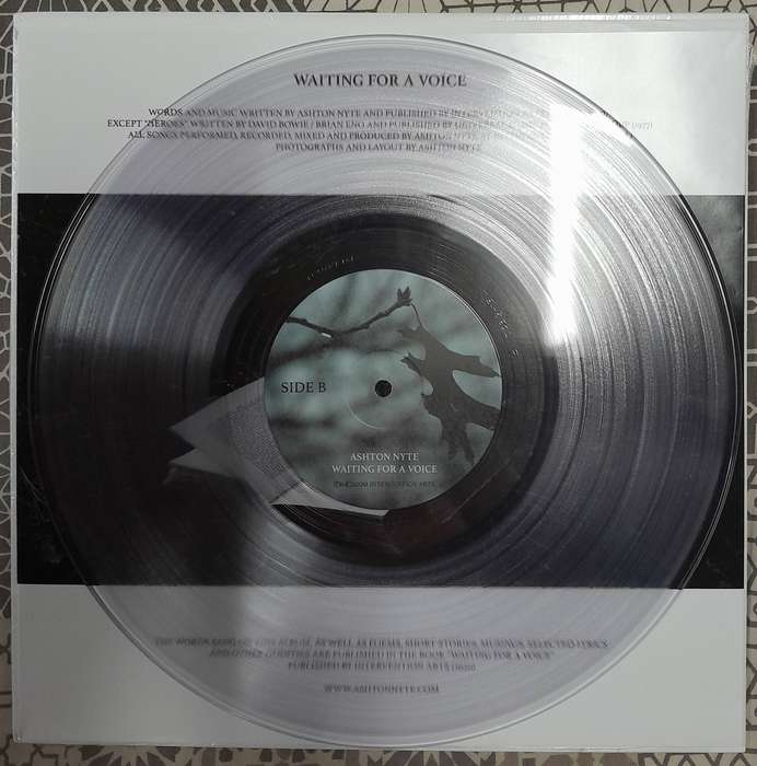 Ashton Nyte - Waiting For A Voice LP (translucent 180g vinyl)