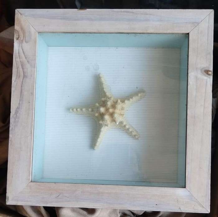 Wood and glass framed starfish